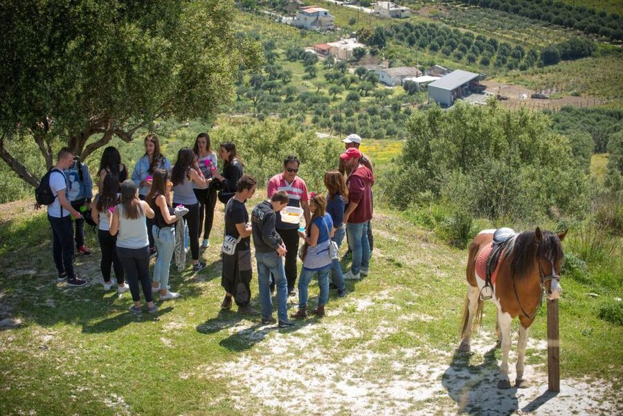 Heraklion: Horseriding Day Tour with Lunch and Transfer - What Happens Before You Ride: Pickup, Stable Time, and Clear Instructions