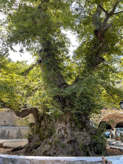 Heraklion: Knossos, Zeus, Villages & Olive Oil Factory Tour - Food, Wine, and a Real Cretan Lunch Stop
