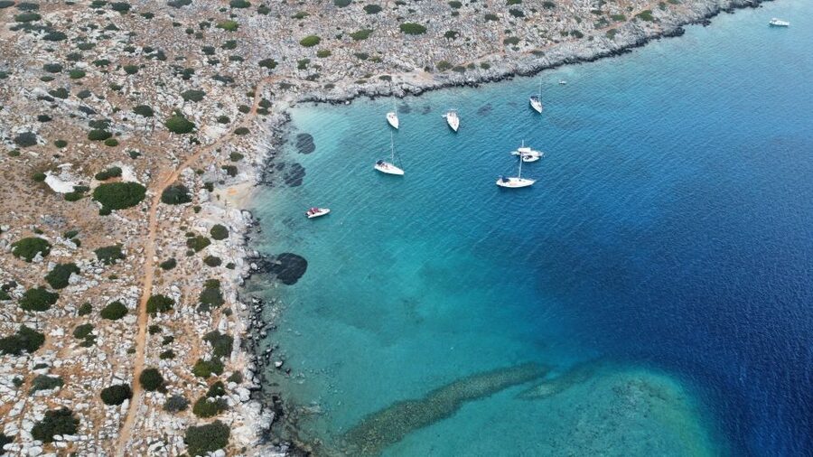 Heraklion: Nature Reserve Dia Island Full-Day Cruise & Lunch - Dolphins and the return sail: watching, not chasing