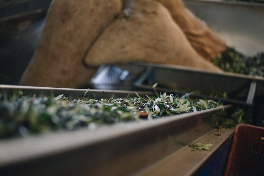 Heraklion: Olive Farm Tour with Tasting of Local Delicacies - First Stop: Arriving at Kleanthi in Skalani (and what it means for your day)