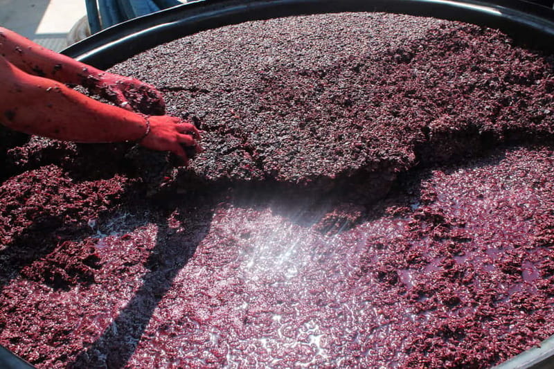 Heraklion: Private Food and Wine Tour with a local Sommelier - Comfort, Pace, and Practical Notes You Should Not Ignore
