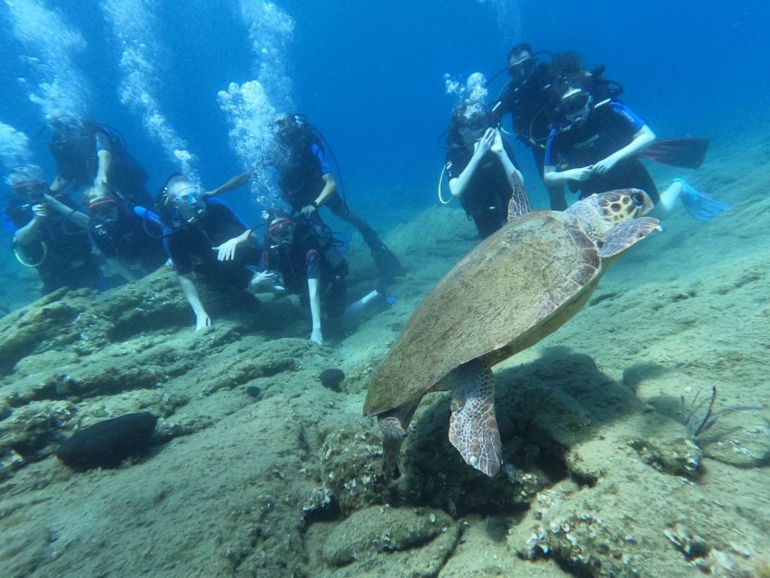 Heraklion: Scuba Diving Experience for Beginners _Beach - Your Underwater Session: Shallow, Controlled, and Focused