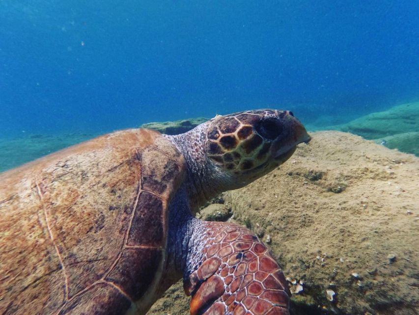 Heraklion: Scuba Diving Experience for Beginners _Beach - Who This Works Best For in Your Crete Plan