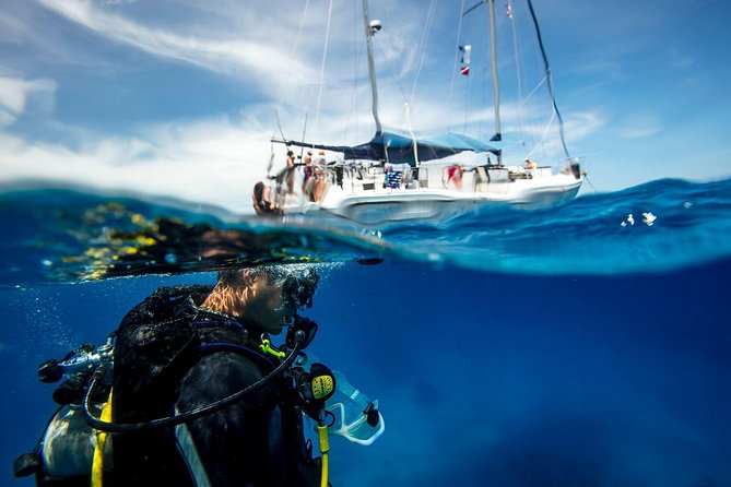 Heraklion: Scuba Diving Experience for First-Timers - Key highlights to know before you go