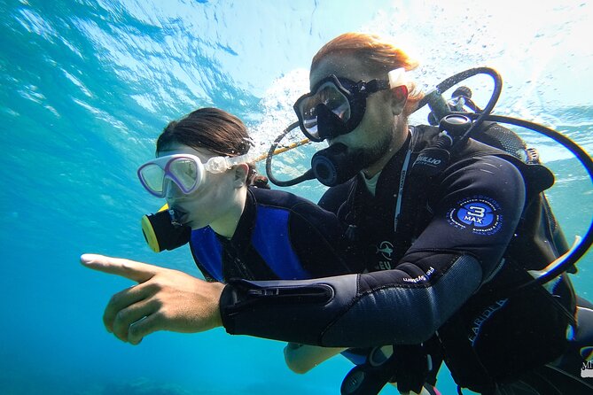 Heraklion: Scuba Diving Experience for First-Timers - Your first look underwater: timing, depth expectations, and sea life