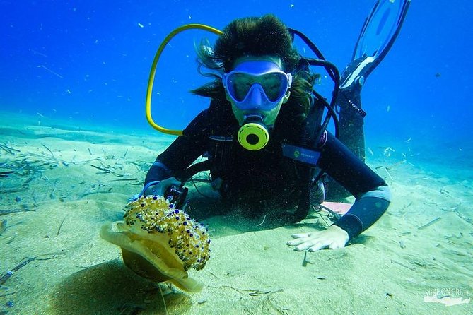 Heraklion: Scuba Diving Experience for First-Timers - Price value for first-timers in Heraklion, and what you truly get