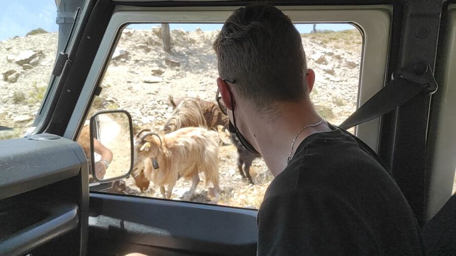 Heraklion: Self-Driving 4X4 Jeep Off-Road Tour with Lunch - Key points I’d plan around