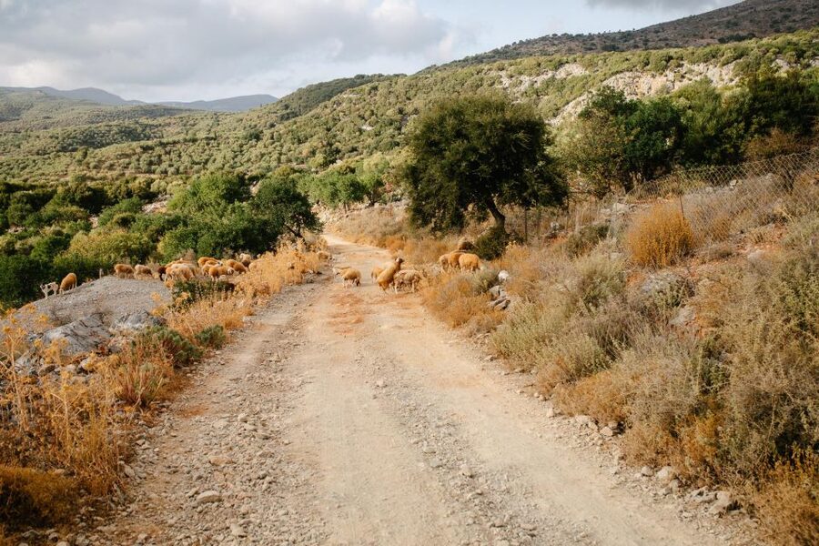 Heraklion: Self-Driving 4X4 Jeep Off-Road Tour with Lunch - Lunch in Malia: BBQ with water, then you wrap up the 8-hour loop