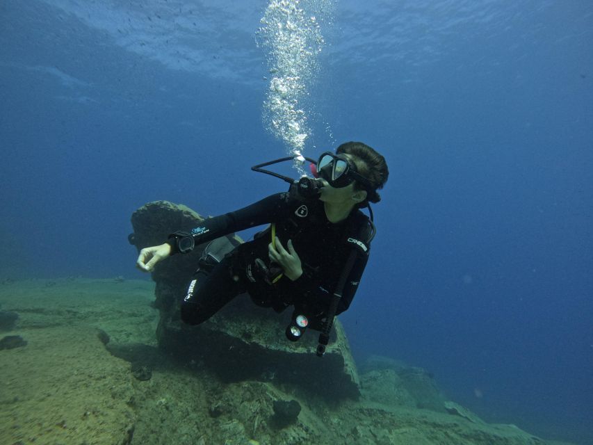 Heraklion: Try Scuba Diving For Beginners (1 dive) - Who This Beginner Scuba Try-Out Is Best For