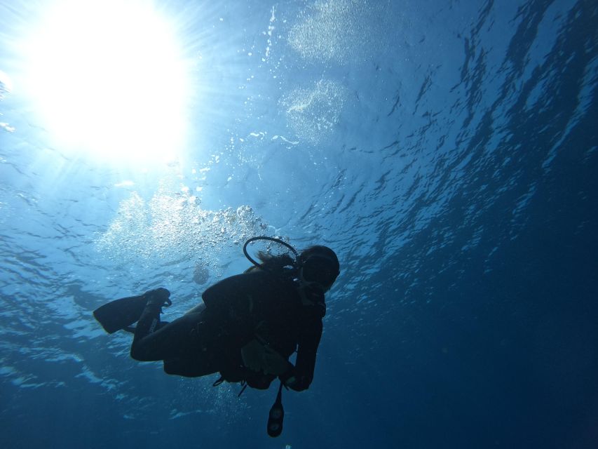 Heraklion: Try Scuba Diving For Beginners (1 dive) - Safety and Comfort: Why Beginners Feel Taken Care Of