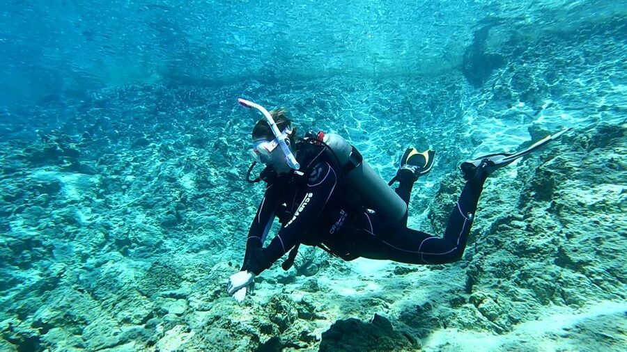 Heraklion: Try Scuba Diving For Beginners (1 dive) - The Underwater Life You’ll Actually Want to See