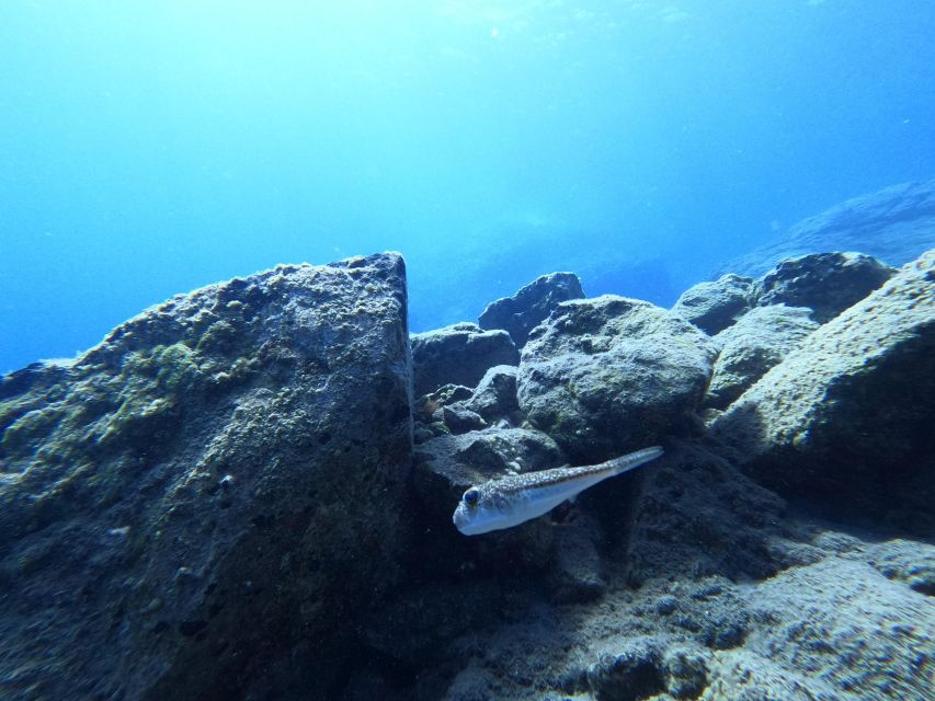 Heraklion: Try Scuba Diving For Beginners (1 dive) - Equipment, Gear Fit, and Small Details That Matter