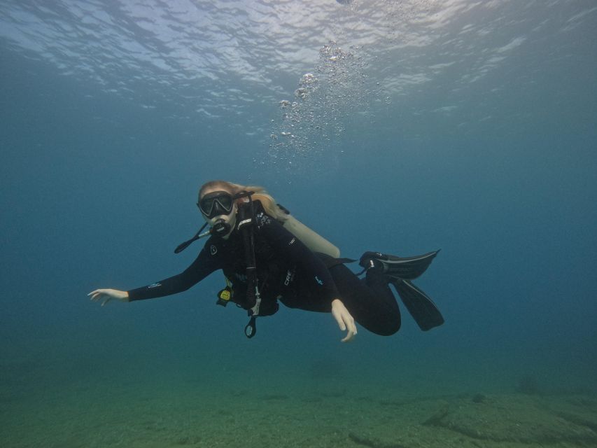 Heraklion: Try Scuba Diving For Beginners (1 dive) - Price, What You Get for $116, and Where It Represents Value