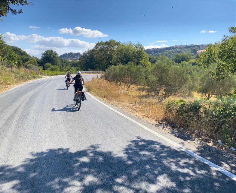 Heraklion: Wine Tasting E-Bike Tour - Tour tips that will actually make your ride easier