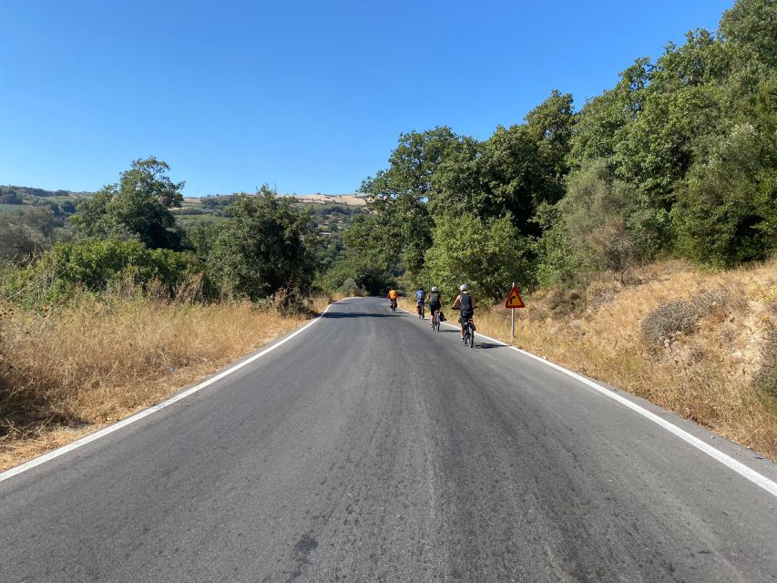 Heraklion: Wine Tasting E-Bike Tour - Getting back to Heraklion without the bike fatigue