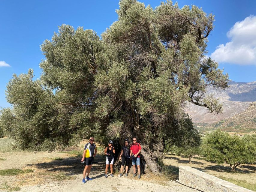 Heraklion: Wine Tasting E-Bike Tour - Price and value: why $101 can work if you care about quality and small groups