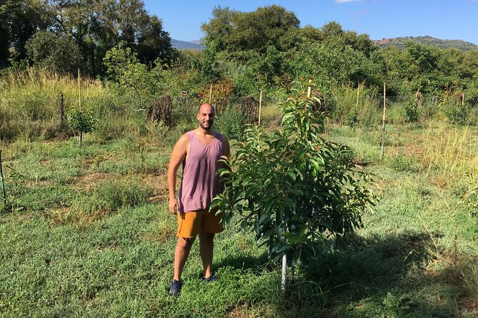 In Crete Discover the miracle of Olive Oil and Organic Fruits - Stop 5: Apokoronas Monastery Olive Oil Connection (When Oil Becomes Community)