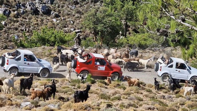 Jeep Driving Tour to Thripti Mountains and typical villages - East Crete on an open-top Jeep: what makes this day worth your time