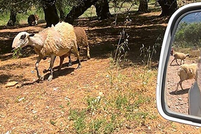 Jeep Safari 4x4 Crete real off road mountain tracks with Lunch from Hersonissos - Off Road Gorge Crossing: Thrill Without Needing A Fearful Mindset