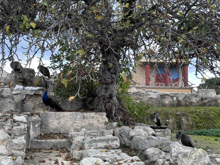 Knossos Palace Skip-the-Line Ticket & Private Guided Tour - Why the Palace’s Scale Changes How You Look at Stones