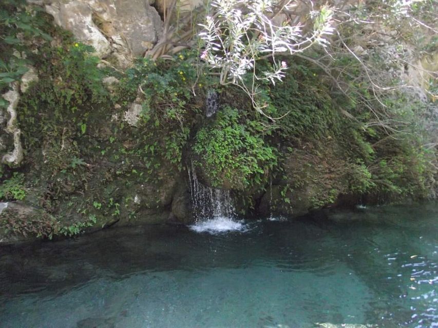 Kourtaliotiko Gorge River Trek with Lunch! Pick-up Avaliable - Swimming into the Great Waterfall and the cave inside Kourtaliotis