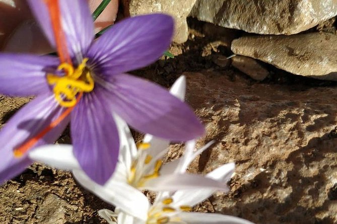 Lasithi –Plateau Traditional Vilages - What you’re really buying for $106.65 per person