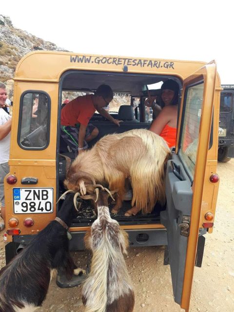 MALIA: East Crete Famous Places (Family and Child Friendly) - Elounda: wine, a proper lunch, and real swim time