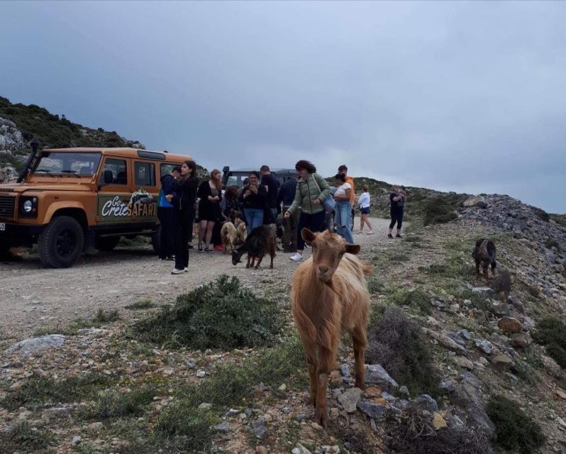MALIA: East Crete Famous Places (Family and Child Friendly) - Price and value: is $103 per person a good deal?