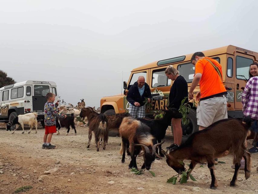 MALIA: Land rover Safari Lasithi Plateau and Zeus Cave - The included Cretan meal and local wine, what to plan for