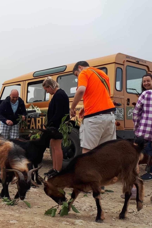 MALIA: Land rover Safari Lasithi Plateau and Zeus Cave - Traditional olive mill stop, how Cretan olive oil becomes a real souvenir