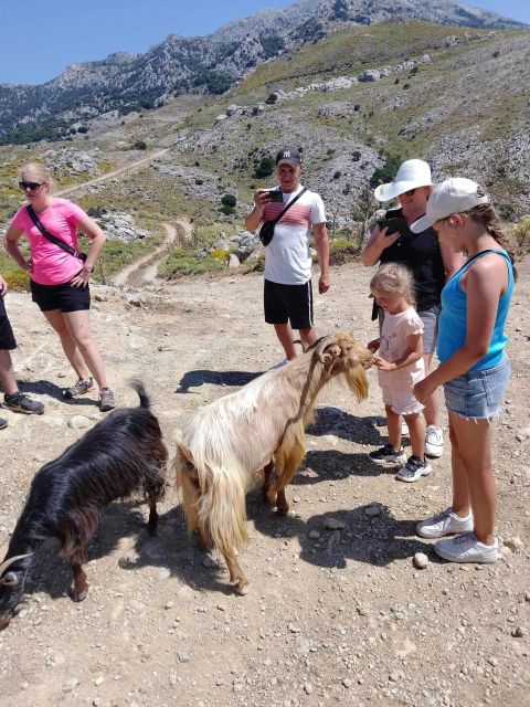 MALIA: Land rover Safari Lasithi Plateau and Zeus Cave - Shepherds farm and Cretan cheese, the food lesson that beats a museum