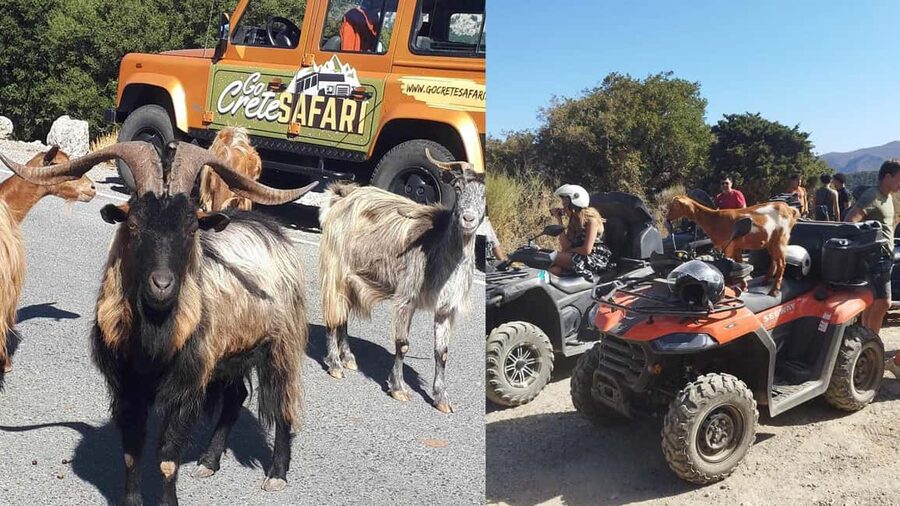 Malia: Off-Road Quad Safari Tour with Lunch and Transfers - GOCRETESAFARI Quad Safari: What Makes It a Standout Half-Day