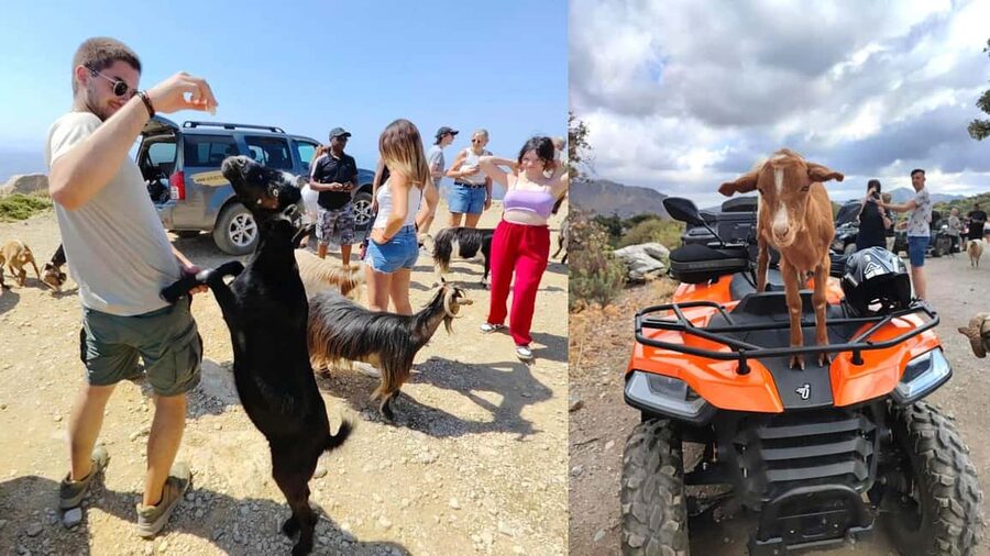 Malia: Off-Road Quad Safari Tour with Lunch and Transfers - Olive Groves, Vineyards, and Off-Road Peaks: The Route That Keeps Moving