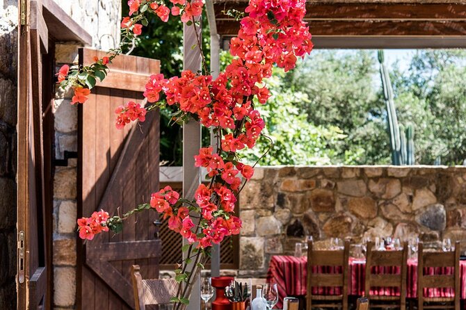 Manousakis Winery Shuttle Service Tour and Taste - Who This Tour Suits, and Who Might Prefer Something Else