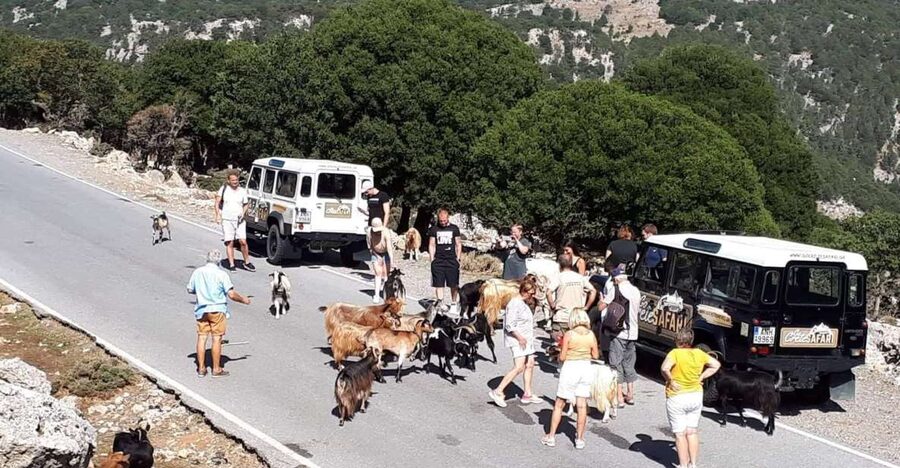 Matala Agiofarago Gorge Guided Jeep Safari Tour - A jeep day that starts in vineyards and ends at Matala caves