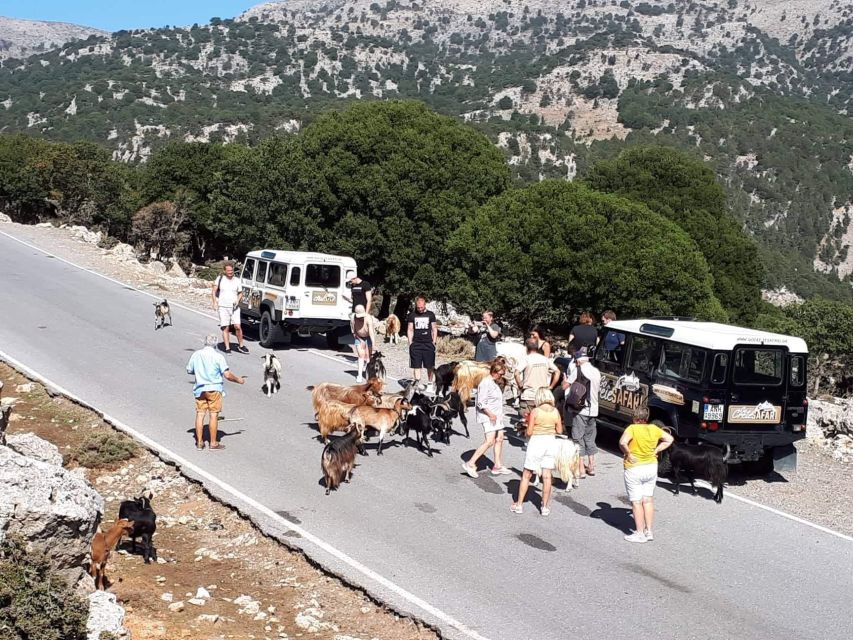 Matala Agiofarago Gorge Guided Jeep Safari Tour - Matala village: hippie caves, free time, and coastal swimming