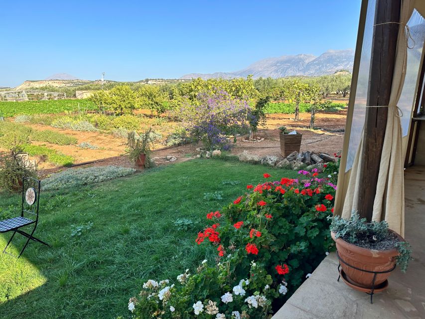 Moires: Cooking Class and Olive Oil Tasting at a Family Farm - Olive oil tasting that actually teaches, not just samples