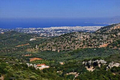 Monastery – Ancient Olive tree & Museum-Cretan Brewery Private Tour from Chania