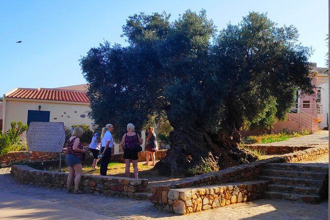 Monastery - Ancient Olive tree & Museum-Cretan Brewery Private Tour from Chania - The included coffee and olive oil break that adds real local flavor