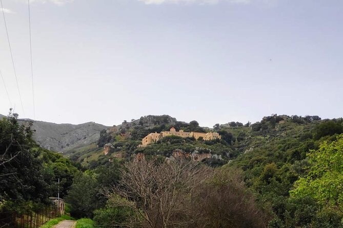 Monastery - Ancient Olive tree & Museum-Cretan Brewery Private Tour from Chania - What to expect from the pace, timing, and weather