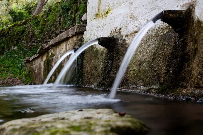 Off-Road: Waterfall, Lake Kournas, Gorges, Preveli Palms - Pickup timing and the small-group reality