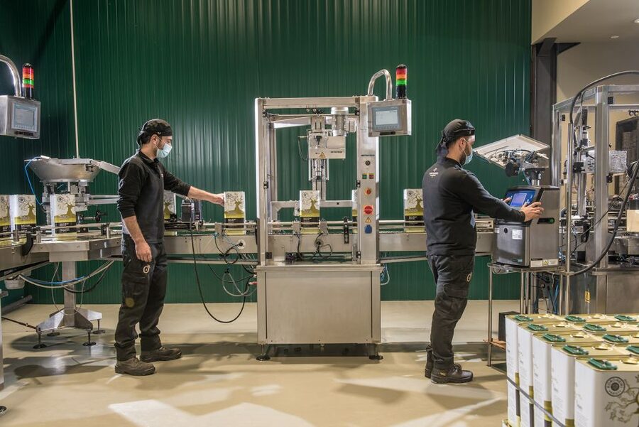 Olive Oil Food Pairing in Crete - Price and Logistics: Is $88 Value-For-Money?