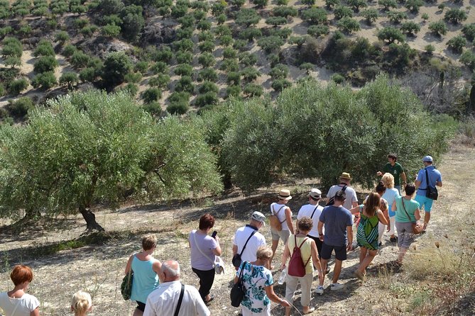 Olive Oil Tasting Tour - Price and value: what $19.36 buys you in Crete