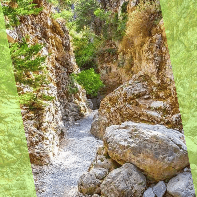 Platanias : Imbros Gorge Superb Hiking Tour - Rocky Steps and Safety Tips That Actually Help