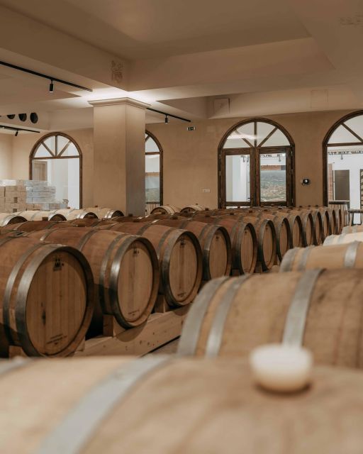 Premium Crete Olive oil tasting, Wine, Raki and Cretan food! - Hotel Pickup, Air-Conditioned Comfort, and How to Not Waste the Day