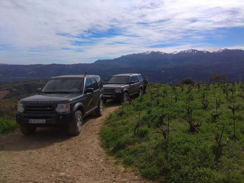 Private Exclusive Manousakis Winery and Vineyard Tour - Key things that make this tour worth your attention