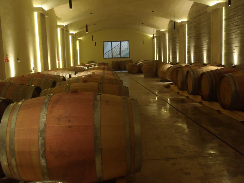 Private Exclusive Manousakis Winery and Vineyard Tour - Who This Tour Fits Best (And Who Should Rethink It)