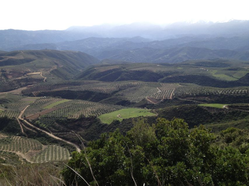 Private Exclusive Manousakis Winery and Vineyard Tour - A 4x4 Wine Escape Above Chania