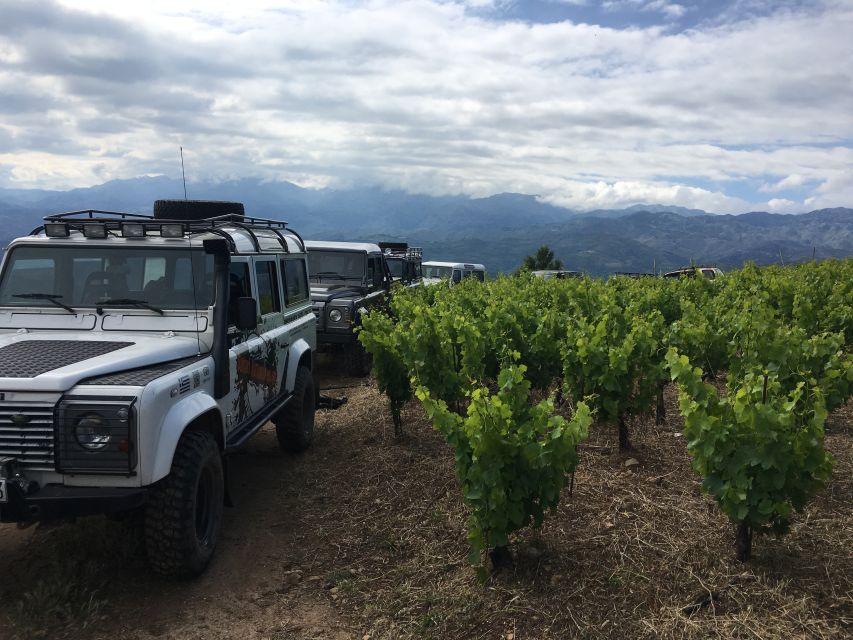 Private Exclusive Manousakis Winery and Vineyard Tour - Valsamioti Dam and the Scenic Stops That Break the Ride