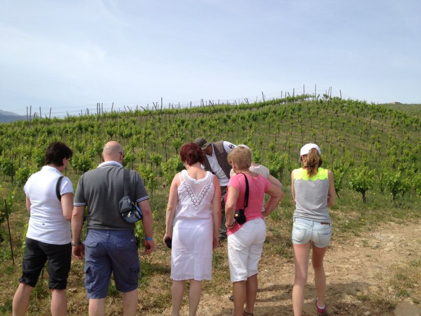Private Exclusive Manousakis Winery and Vineyard Tour - What to Bring and Wear (So You Enjoy the Off-Road Part)